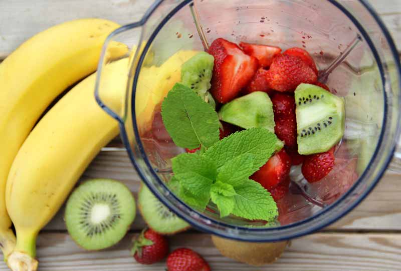 Shop High-End Blenders and Hand Blenders at Premier Gourmet