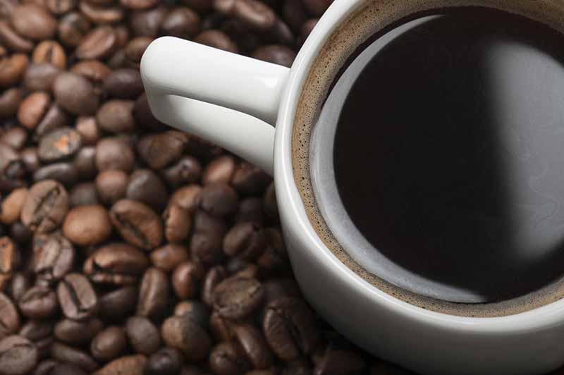 Purchase Awesome Coffee Mug and Tea Sets at Premier Gourmet