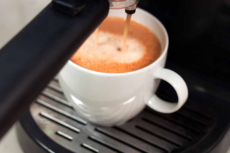Shop the Best Coffeemakers at Premier Gourmet