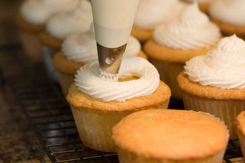 Find the Best Decorating Tools at Premier Gourmet