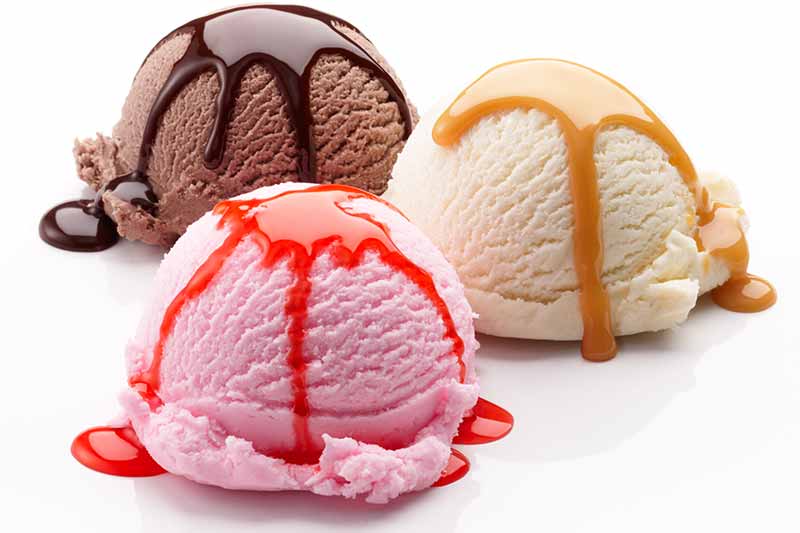 Find the Best Ice Cream Makers at Premier Gourmet