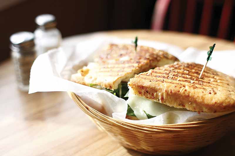 Purchase Premium Panini Makers at Premier Gourmet
