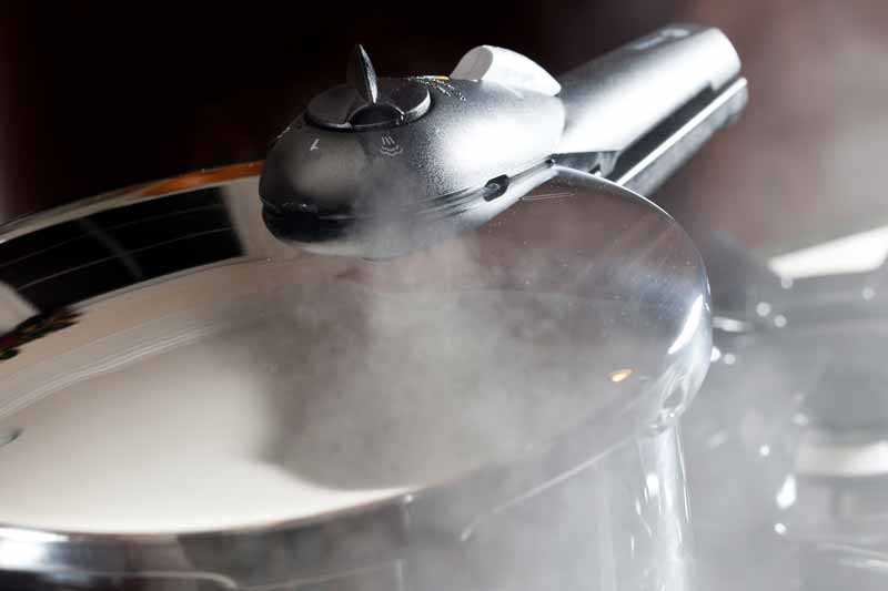 Browse High-End Pressure Cookers at Premier Gourmet