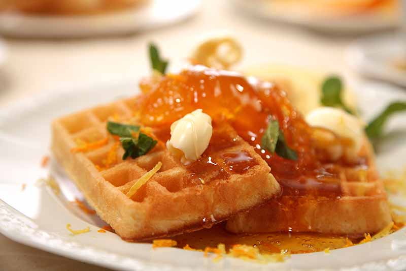 Browse High-End Waffle Makers at Premier Gourmet